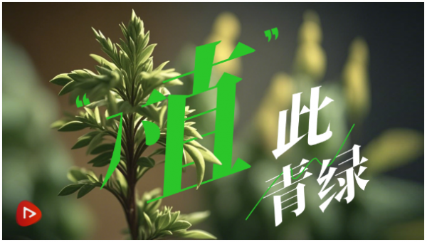 美丽中国我先行｜“植”此青绿(图1)