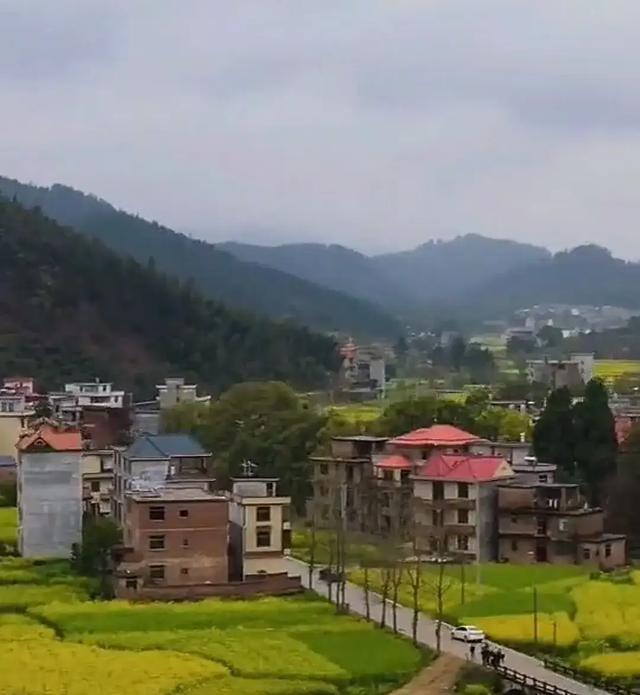 智元机器人CTO彭志辉（稚晖君）江西吉安人放弃百万年薪创业(图2)