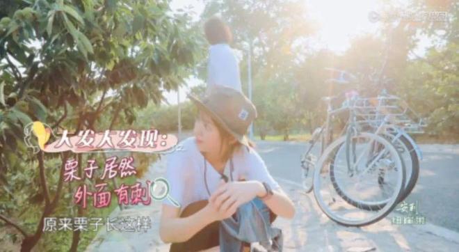 Kaiyun：当一线女星开始流行找导演当“赘婿”(图29)