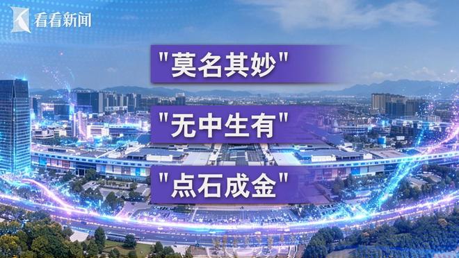 总结好运用好“义乌发展经验” 校准政绩坐标(图12)