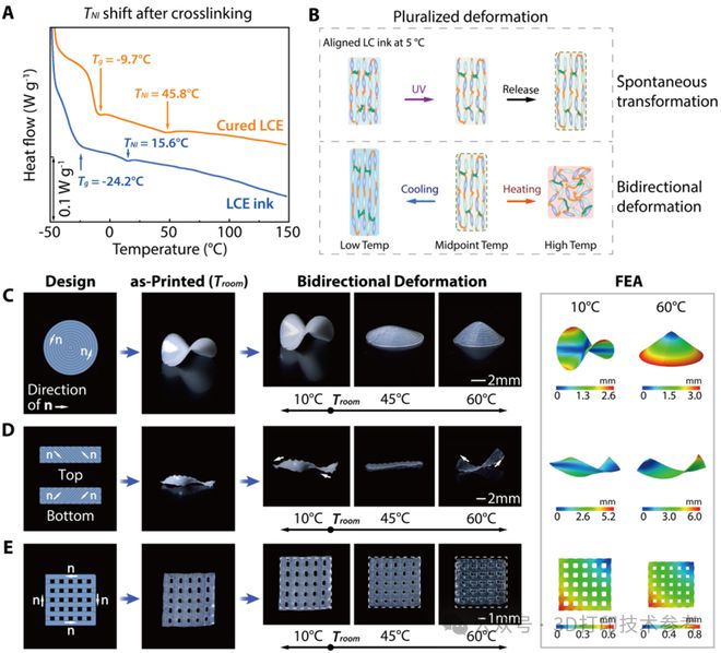 Kaiyun：中国科大：智能材料3D打印技术取得突破性进展(图3)