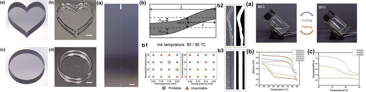 Kaiyun：突破！APL刊发肿瘤院医工中心新型生物材料打印技术（SGEHD）(图3)