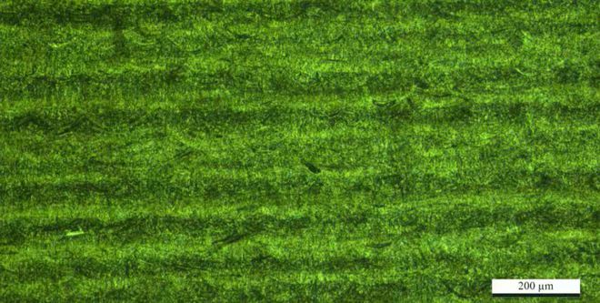 【第2727期】SLM金属3D打印压铸浇口模具-挑战H13材料金属3D打印