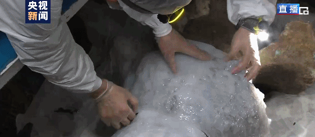 【释疑解惑】漫谈3D打印技术(图8)