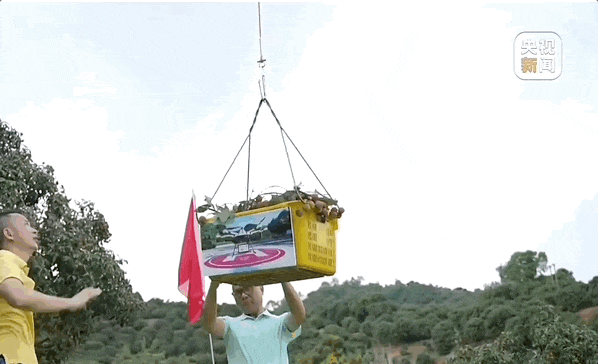 茂名荔枝的“甜蜜经济”：打好这三张“牌”是关键(图4)