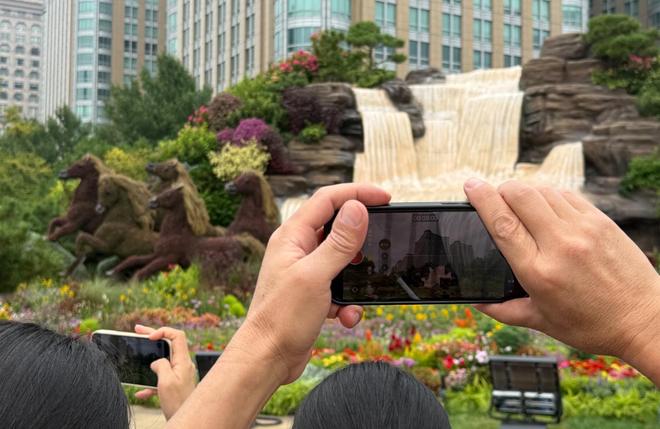 Kaiyun：纪念抗战胜利80周年10组立体花坛扮靓北京长安街(图4)