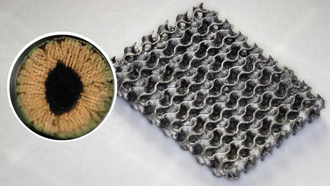 新型3D打印技术问世：造出超强材料抗压能力提升20倍