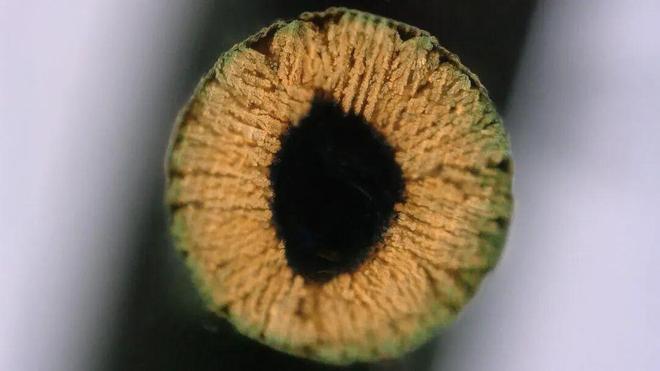 Kaiyun：新技术思路：水基凝胶3D打印金属陶瓷复合结构强度跃升20倍收缩率至20%(图3)