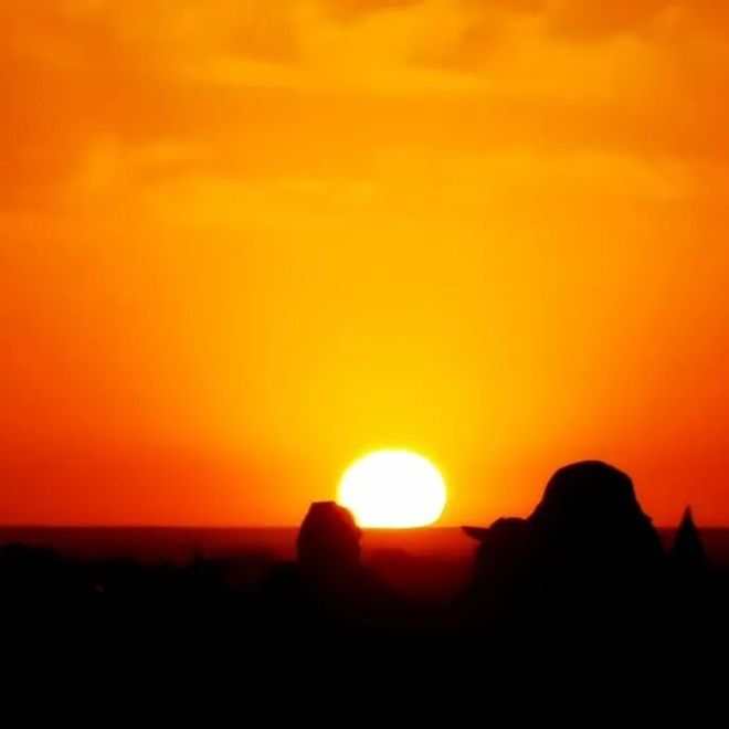 北大国发院公益支持瓜州十工村