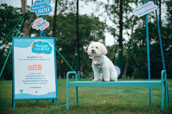 Kaiyun：未来是什么样？这条“世界级中轴线”承包你所有“未来想象”！(图11)