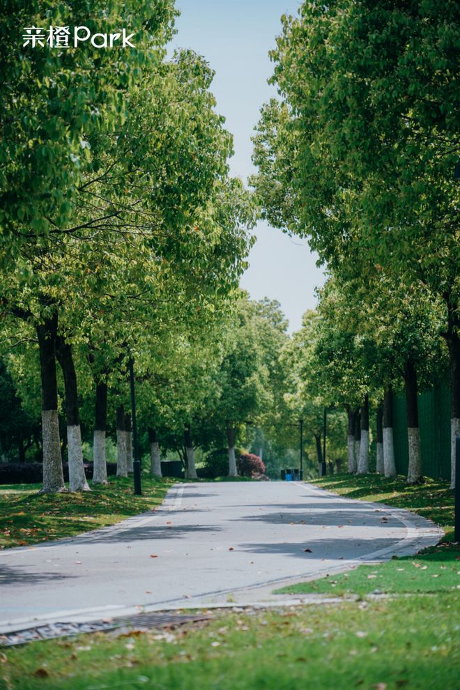 Kaiyun：未来是什么样？这条“世界级中轴线”承包你所有“未来想象”！(图13)