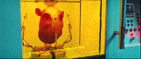 “3D打印”是个啥？技术科普进社区带你玩转高科技！(图2)