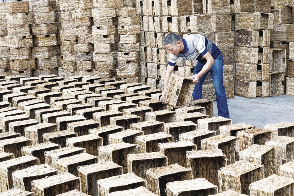 安溪藤铁： 从山村手作迈向国家级产业集群(图2)