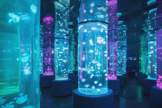 台湾“首来族”专属福利！深圳7个4A5A级景区免门票畅玩！(图3)