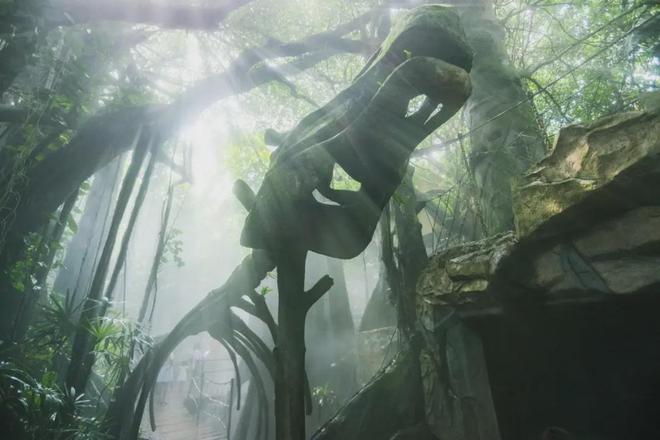 台湾“首来族”专属福利！深圳7个4A5A级景区免门票畅玩！(图8)