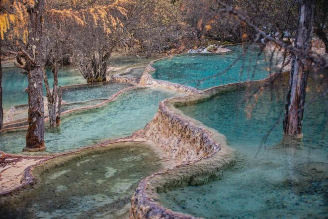 台湾“首来族”专属福利！深圳7个4A5A级景区免门票畅玩！(图9)