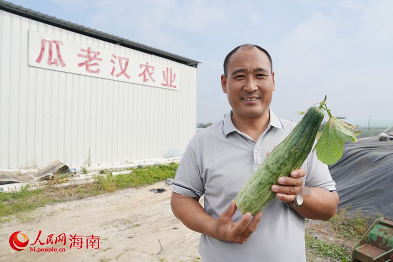 Kaiyun：昌江的蜜瓜为啥这样甜？答案写在瓜农的笑脸上(图9)