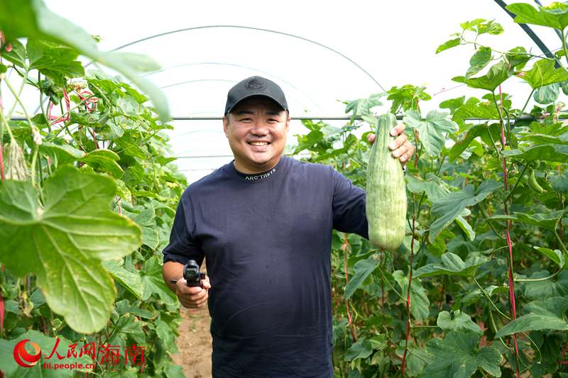 Kaiyun：昌江的蜜瓜为啥这样甜？答案写在瓜农的笑脸上(图11)