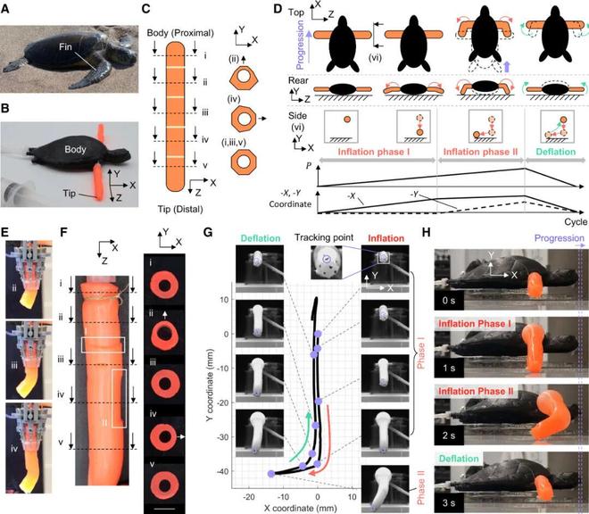 3D打印可变型自适应喷嘴中空纤维一键造软体机器人(图6)