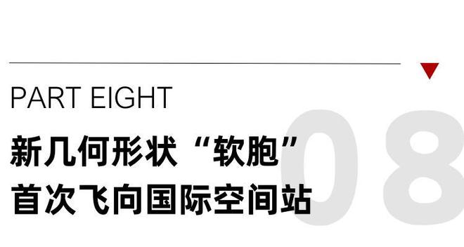 2026TCT亚洲展：深度洞察3D打印机材料与设备最新趋势！(图7)