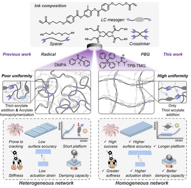 清华大学吉岩Angew：突破传统光固化局限！非自由基3D打印技术实现高性能液晶弹性体的高成功率制造(图2)