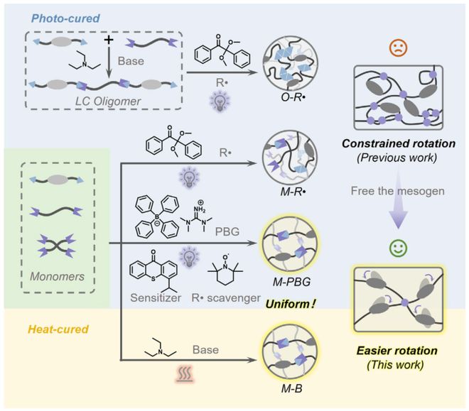 清华大学吉岩Angew：突破传统光固化局限！非自由基3D打印技术实现高性能液晶弹性体的高成功率制造(图3)