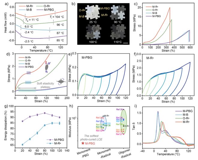 清华大学吉岩Angew：突破传统光固化局限！非自由基3D打印技术实现高性能液晶弹性体的高成功率制造(图5)