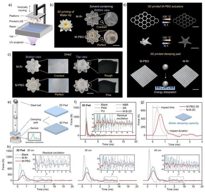 清华大学吉岩Angew：突破传统光固化局限！非自由基3D打印技术实现高性能液晶弹性体的高成功率制造(图7)