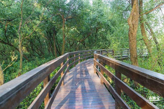 2026深圳跨年元旦8大免费预约的好去处推荐！预约入口→(图4)