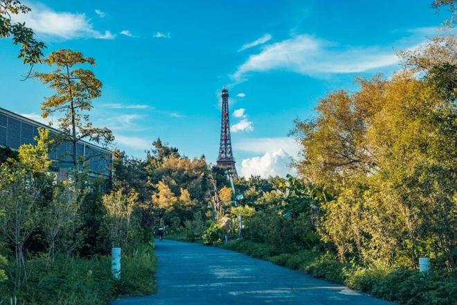 2026深圳跨年元旦8大免费预约的好去处推荐！预约入口→(图5)