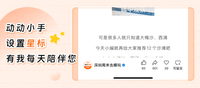 2026深圳跨年元旦8大免费预约的好去处推荐！预约入口→(图13)