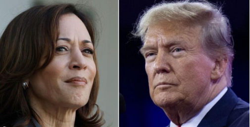 “血腥周末”再现美国枪支暴力痼疾难愈！(图7)