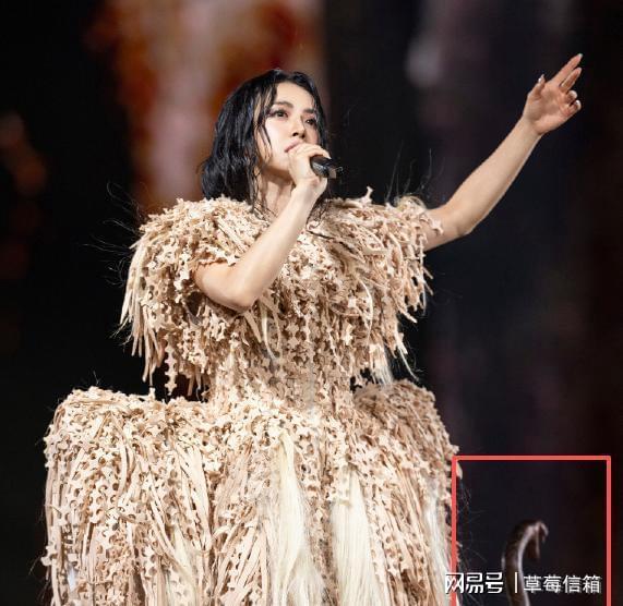 蔡依林取悦自己刻不容缓演唱会踩巨蛇网友：太吓人了欣赏不来(图5)